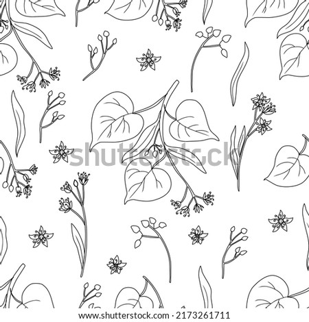 Seamless pattern Linden flower brunch, decorative graphic basswood vector hand drawn ink illustration isolated on white, honey flower blossom outline background for design herbal tea, cosmetic