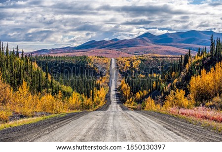 Autumn country road to mountains. Sutumn forest road landscape. Autumn forest road panorama. Autumn forest road view