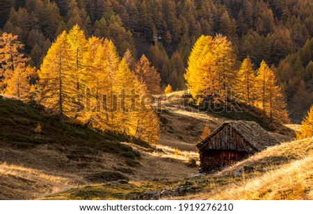 Autumn mountain hill cabin view. Autumn in mountain forest. Mountain cabin in autumn forest. Autumn landscape