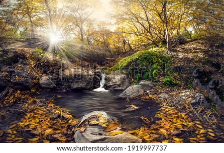 Autumn forest cold creek view. Forest creek in autumn. Autumn forest creek. Cold creek in autumn forest