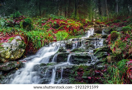 River creek waterfall flowing view. Forest waterfall rocks. Waterfall in forest. Forest waterfall view