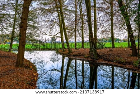 Reflections of trees in autumn river water. River reflections in autumn time. Autumn river water reflection. Autumn park trees reflection in river water Imagine de stoc © 