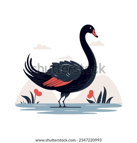 Black swan illustration design isolated on white background. Elegant black swan on the water. Vector stock