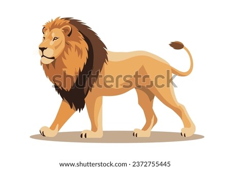 Standing lion isolated on a white background. Lion walking profile, body side view. Vector stock