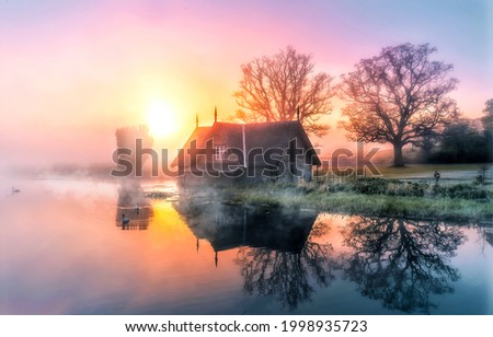 Similar – Image, Stock Photo Tree in the fog Nature