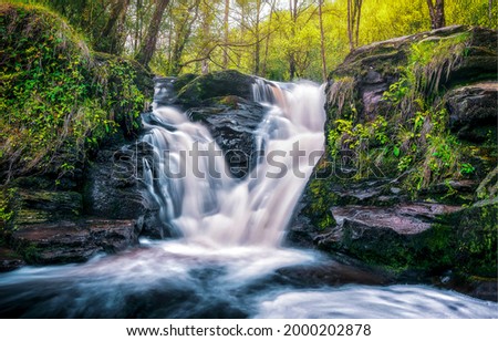 Beautiful waterfall in the forest. Waterfall view. Waterfall in forest. Forest waterfall