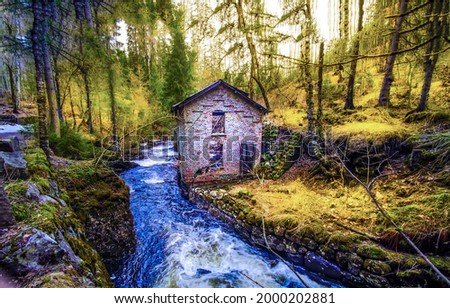 An abandoned house by a forest stream. Witch house in autumn mossy foresdt at river stream. Forest house at river stream. Abandoned house at forest river stream