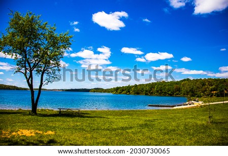 On the shore of a forest lake. Lake beach panorama. Forest lake beach view. Summer lake shore