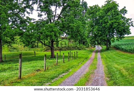 Country road through the farm. Rural road in farm garden. Farm garden road view. Farm rural road