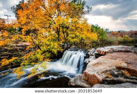 A yellowed tree near a river waterfall in autumn. Autumn river waterfall view. River waterfall in autumn. Autumn nature landscape