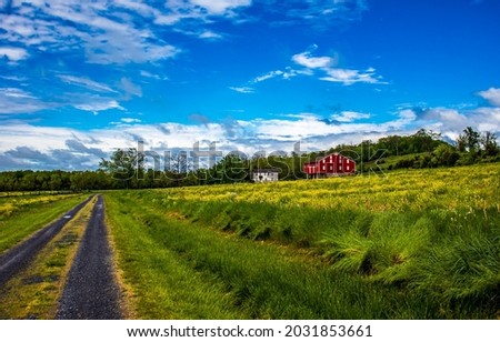 Country road to the farm in summer. Countryside road. Rural road in field. Country road landscape