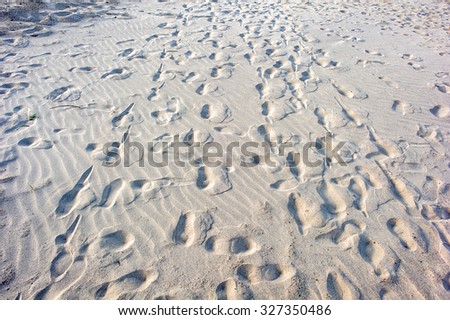 Human footprints on beach sand.