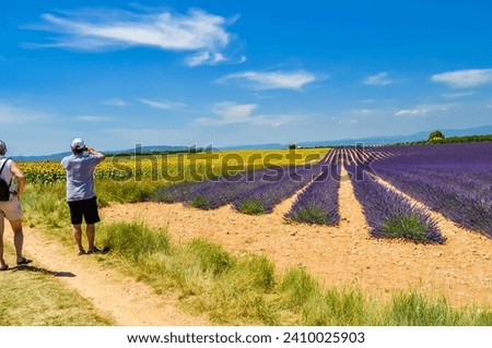 Similar – Image, Stock Photo Lavender field, Provence, Plateau Valensole. Beautiful image of lavender field.Lavender flower field, image for natural background.Very nice view of the lavender fields.