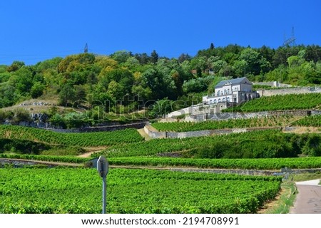 Similar – Image, Stock Photo Landscape in Burgundy