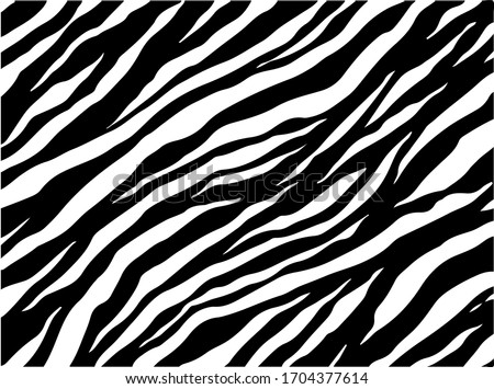 Black and white zebra stripes background. Zebra skin. Zebra background.Vector illustration.