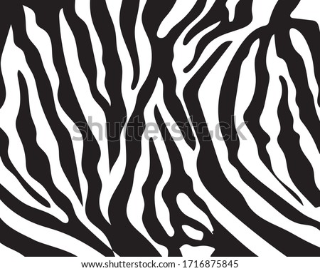 Black and white zebra stripes background. Zebra background.Vector illustration.