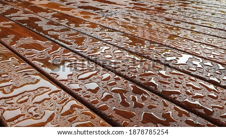 Timber Deck after rain, wet timber decking, Australian spotted Gum timber decking, close up, wet weather