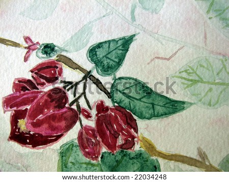Red Bougainvillea watercolor painting