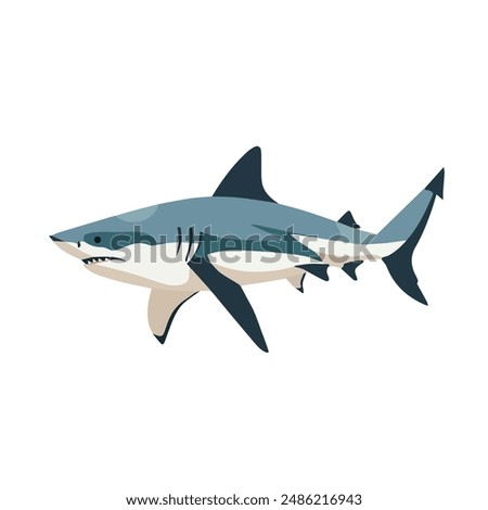 Shark icon isolated on white background.