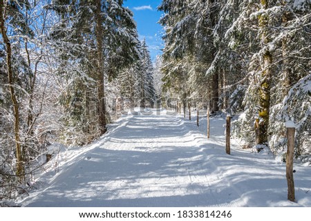 Similar – Image, Stock Photo Snowy hiking trail with legs