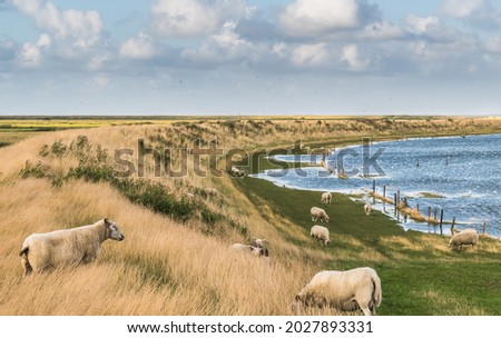 Image, Stock Photo The Wadden Sea World Heritage Site with coastal protection on the coast of the North Sea at the harbor of Norden near Norddeich in East Frisia in Lower Saxony, photographed in classic black and white