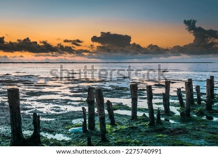 Similar – Image, Stock Photo The Wadden Sea World Heritage Site with asphalted dike on the coast of the North Sea in Norddeich near Norden in East Frisia in Lower Saxony