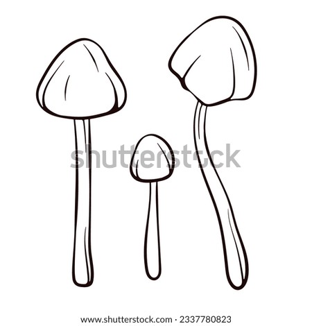 Conocybe Filaris inedible mushroom in line art style. Poisonous food sketch. Vector illustration isolated on a white background. Deadly fungus Pholiotina rugosa. Zdjęcia stock © 