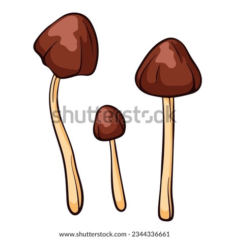 Conocybe Filaris inedible mushroom in cartoon style. Poisonous food sketch. Vector illustration isolated on a white background. Deadly fungus Pholiotina rugosa. Filaria. Zdjęcia stock © 