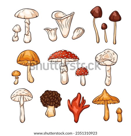 Hand drawn colorful inedible mushrooms collection in cartoon style. Fly Agaric, Autumn Skullcap, Deadly Webcap, False Morel, Poison fire coral. Vector illustration isolated on a white background. Zdjęcia stock © 