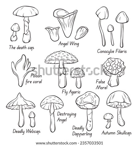 Inedible Mushroom collection icons in line art, outline style. Fly Agaric, Autumn Skullcap, Deadly Webcap, False Morel, Poison fire coral. Vector illustration isolated on a white background. Zdjęcia stock © 