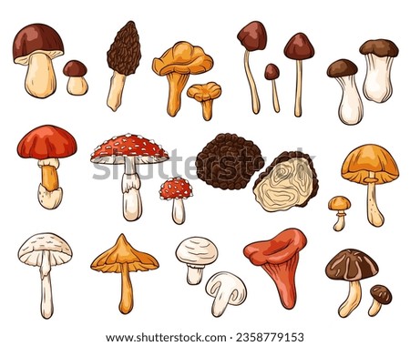 Edible and inedible mushrooms collection in cartoon style. Hand drawn forest plants drawings. Perfect for recipe, menu, label, icon, packaging. Fungus outlines set. Vector illustration. Zdjęcia stock © 