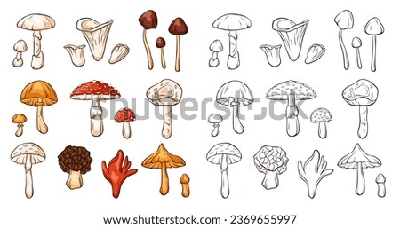 Inedible mushrooms set in line art style. Collection of colorful and monochrome mushrooms. Vector illustration isolated on a white background. Zdjęcia stock © 