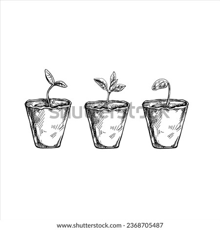 Hand-drawn sketch of plants in biodegradable peat moss pots on white background. Eco concept. Doodle vector outline set.