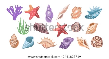 Sea shells vector set, mollusks, corals, algae, starfish. Flat illustration of various seashells on white background. Collection for stickers.	