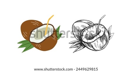 Cute hand drawn whole coconut and coconut with straw. Flat and outline black vector illustration isolated on white background.