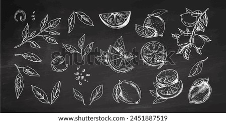 Hand-drawn vector lemon set. Whole lemon, sliced pieces, half, leaf and branch sketch. Tropical fruit engraved style illustration. Detailed citrus ink drawing on chalkboard background.