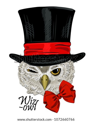 Vector owl with cylinder. Hand drawn illustration of dressed owl. Owl-illusionist. 1