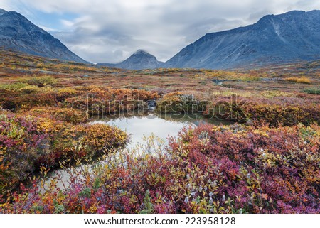 Colorful autumn tundra and mountain ridge reflected in freshwater lake in Malaya Belaya river valley in Hibiny mountains above the Arctic Circle, Russia
