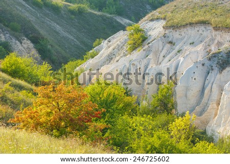Chalk canyon with erosion formations in its steep slopes, Divnogorie, Voronezh region in southern Russia