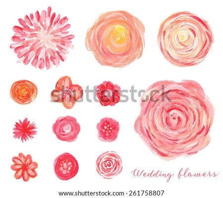 Hand drawn wedding flowers set. Isolated vector roses, peonies, ranunculus.