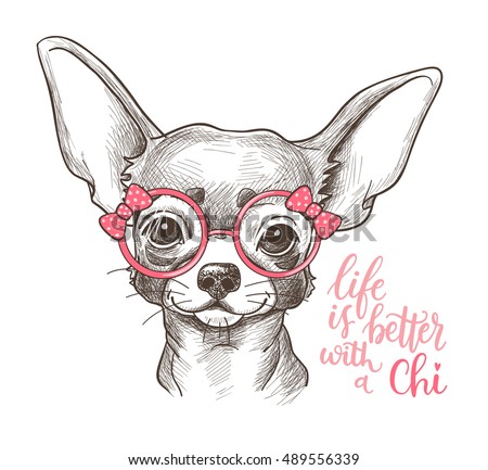 Girl Chihuahua illustration print. Cute fashionable dog vector sketch.