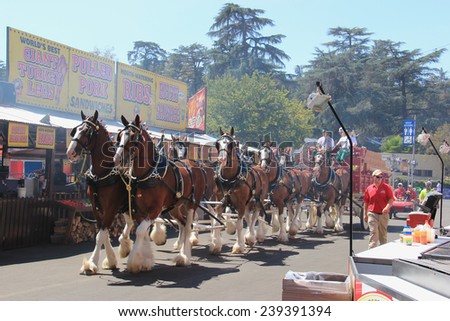 Pomona, California, USA - September 15, 2014: LA County Fair is one of the fourth largest fair in USA. It provides a place where people learn about California's heritage and enjoy traditional food.