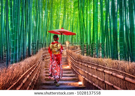 Similar – Image, Stock Photo Woman on fence in mountainous area