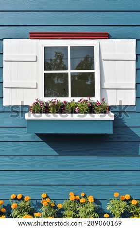 Beautiful window with flower box.