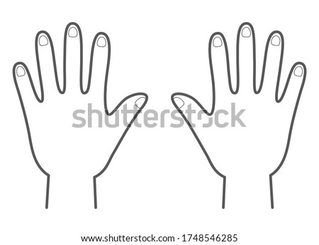 Vector illustration of the back of hands. right and left hand.