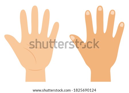 Back of hand and palm icon set. Vector illustration on white background.