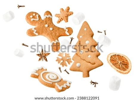 Similar – Image, Stock Photo Gingerbread cookies isolated on a blue background. Christmas homemade cookies top view