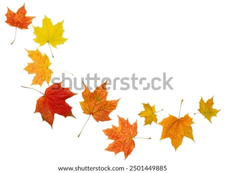 Similar – Image, Stock Photo Autumn leaves on a boardwalk by a stream