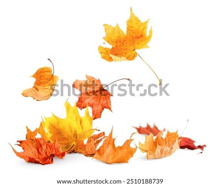 Similar – Image, Stock Photo Autumn leaves lie on a path. Fuzzy tree bush, house and passer-by in the background. Residential area