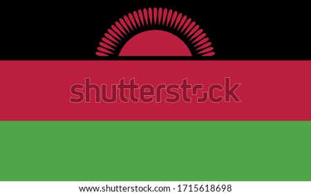 vector illustration of Malawi flag